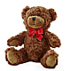 Adorable Plush Bear – Edgewood Florist, Lachine PQ
