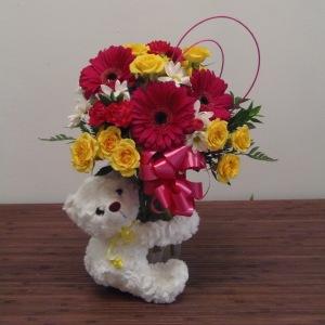 Best Pal –  Edgewood Florist, Lachine PQ