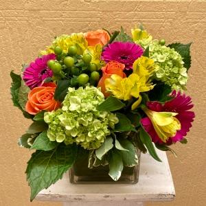 Lunch on the Terrasse –  Edgewood Florist, Lachine PQ