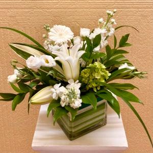 Cream of the Crop –  Edgewood Florist, Lachine PQ